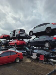 WhatsApp Image 2025-01-23 at 12.01.48 PM