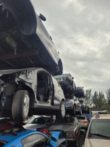 WhatsApp Image 2025-01-23 at 12.02.52 PM