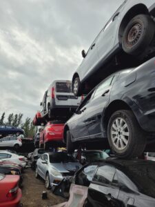 WhatsApp Image 2025-01-23 at 12.02.57 PM