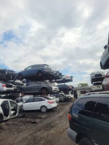 WhatsApp Image 2025-01-23 at 12.02.59 PM (3)