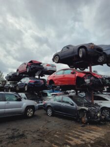 WhatsApp Image 2025-01-23 at 12.03.00 PM